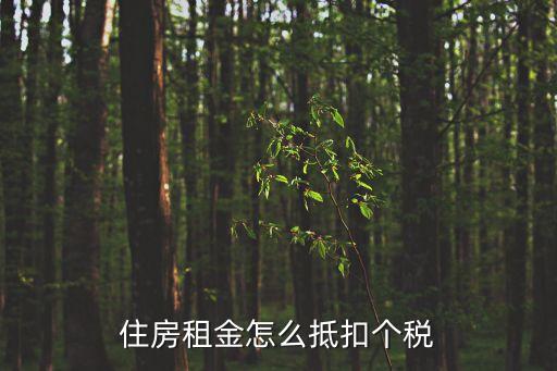 住房租金怎么抵扣個稅