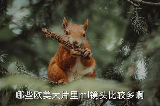 哪些歐美大片里ml鏡頭比較多啊