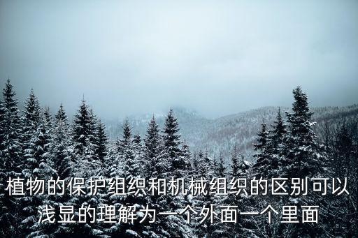 植物的保護(hù)組織和機(jī)械組織的區(qū)別可以淺顯的理解為一個外面一個里面
