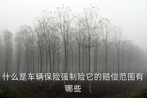 什么是車輛保險(xiǎn)強(qiáng)制險(xiǎn)它的賠償范圍有哪些