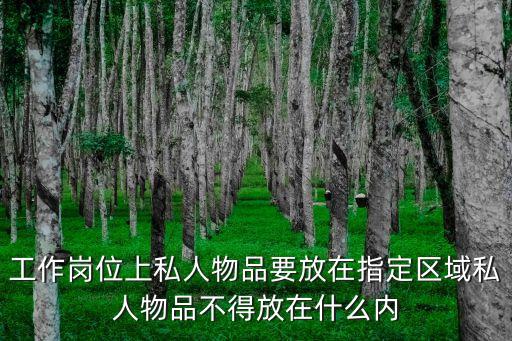 工作崗位上私人物品要放在指定區(qū)域私人物品不得放在什么內(nèi)