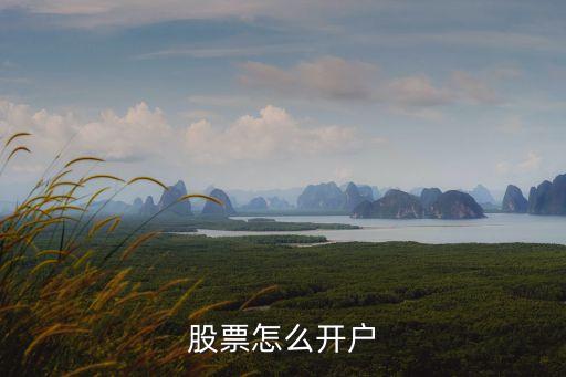 股市開(kāi)戶(hù)，股票怎么開(kāi)戶(hù)