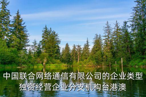 中國(guó)聯(lián)合網(wǎng)絡(luò)通信有限公司的企業(yè)類型獨(dú)資經(jīng)營(yíng)企業(yè)分支機(jī)構(gòu)臺(tái)港澳