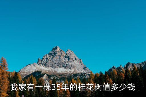桂花樹多少錢，15COM直徑的桂花樹在重慶多少錢一根