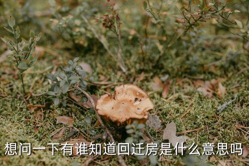 回遷房什么意思，想問一下有誰知道回遷房是什么意思嗎