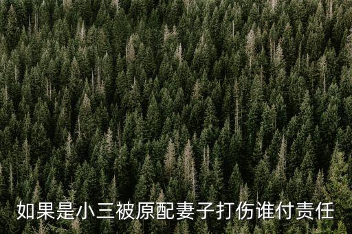 如果是小三被原配妻子打傷誰付責任