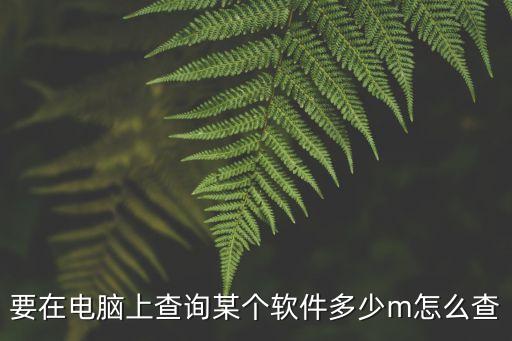 找m的軟件叫什么，要在電腦上查詢某個(gè)軟件多少m怎么查