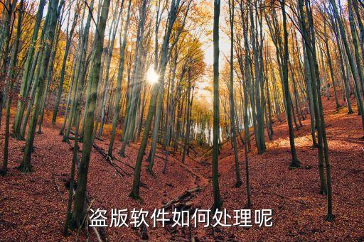盜版軟件如何處理呢