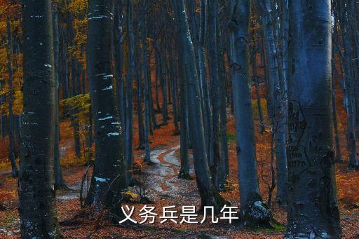 義務(wù)兵是幾年