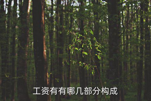 工資有有哪幾部分構(gòu)成