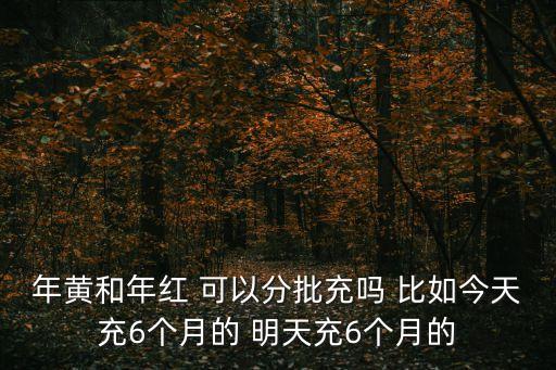 黃年，黃磚包年和會員包年價錢一樣么