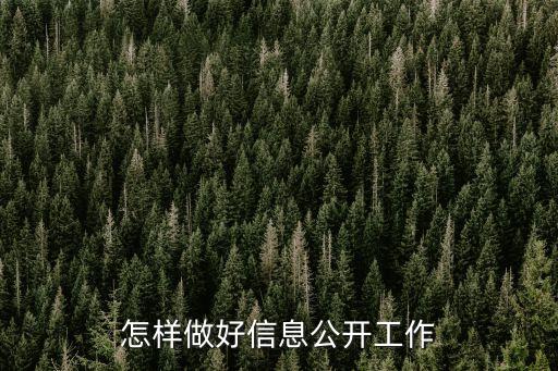 怎樣做好信息公開工作