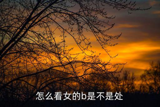 怎么看女的b是不是處