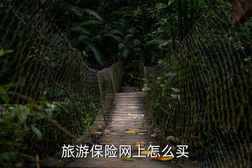 旅游意外險投保，最近出去玩需要購買旅行險求推薦