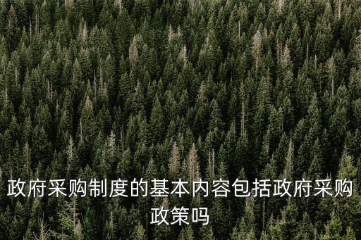 政府采購(gòu)制度的基本內(nèi)容包括政府采購(gòu)政策嗎