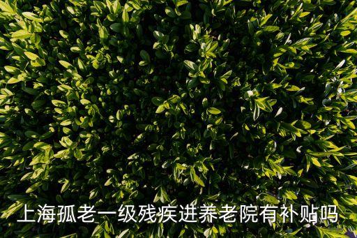 上海孤老一級(jí)殘疾進(jìn)養(yǎng)老院有補(bǔ)貼嗎