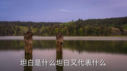 坦白是什么坦白又代表什么