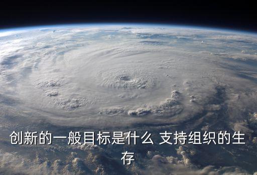 創(chuàng)新的一般目標(biāo)是什么 支持組織的生存