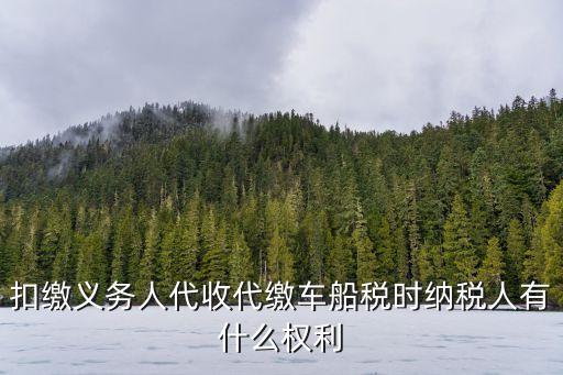 扣繳義務(wù)人代收代繳車(chē)船稅時(shí)納稅人有什么權(quán)利