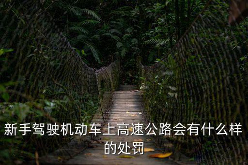 新手上高速怎么處罰，新手上高速怎么處罰
