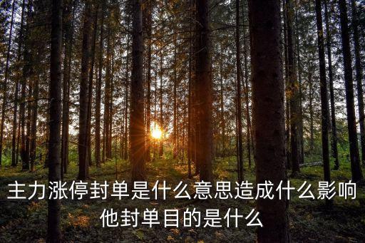 封單是什么意思，主力漲停封單是什么意思造成什么影響他封單目的是什么