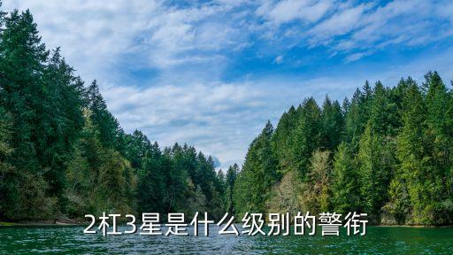 警察兩杠三花，2杠3星是什么級(jí)別的警銜