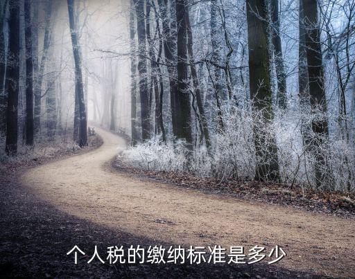 個(gè)人納稅標(biāo)準(zhǔn)，個(gè)人所得稅的納稅標(biāo)準(zhǔn)是什么