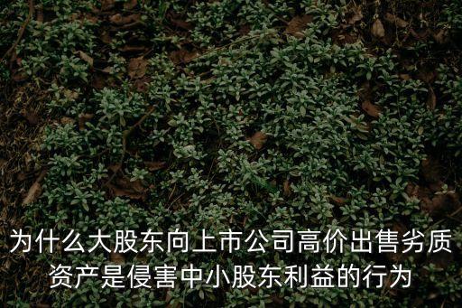 劣質(zhì)資產(chǎn)，不良資產(chǎn)包括哪些具體指什么
