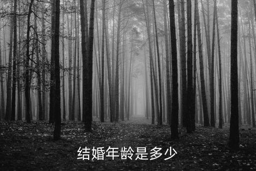 結婚年齡是多少