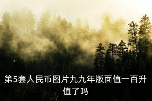 第5套人民幣圖片九九年版面值一百升值了嗎