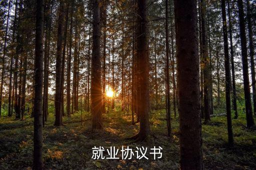 就業(yè)協(xié)議模板，就業(yè)協(xié)議書