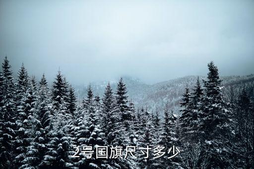 2號(hào)國旗尺寸多少