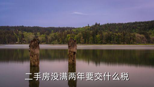 二手房沒滿兩年要交什么稅