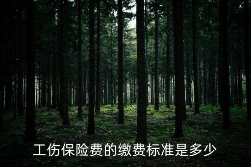 工傷保險費的繳費標準是多少