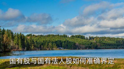 國家股，國有股與國有法人股如何準確界定