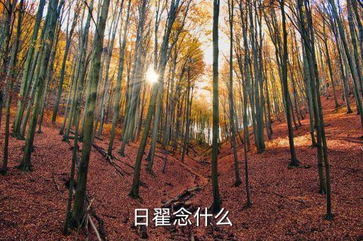 日翟曜讀音，日翟怎么讀音是什么