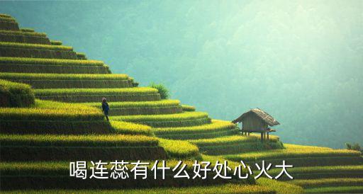 喝連蕊有什么好處心火大