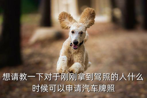 上牌照，新車上牌需要我本人去嗎