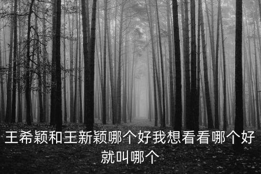 王希穎和王新穎哪個(gè)好我想看看哪個(gè)好就叫哪個(gè)