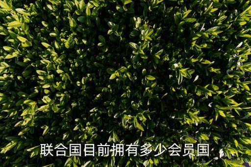 聯(lián)合國目前擁有多少會(huì)員國