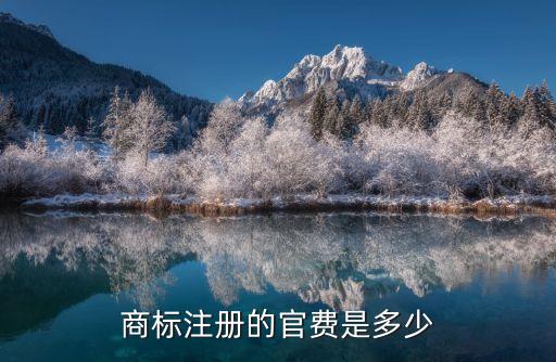 商標(biāo)官費，商標(biāo)注冊的費用是多少官費是多少