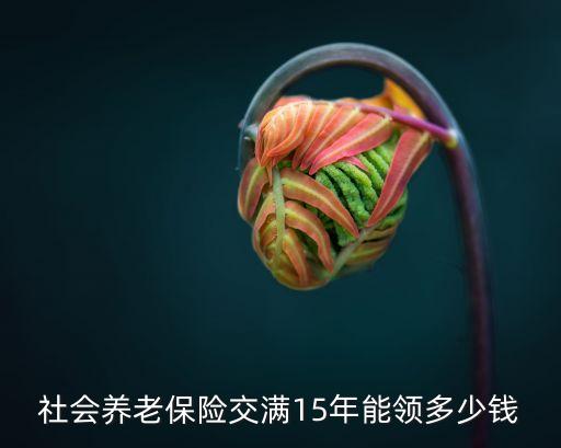 社會養(yǎng)老金，請問社會養(yǎng)老保險保險是怎么一回事啊