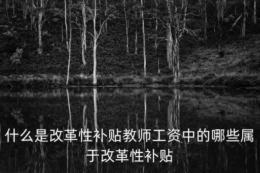 什么是改革性補(bǔ)貼教師工資中的哪些屬于改革性補(bǔ)貼