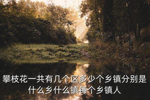 攀枝花一共有幾個區(qū)多少個鄉(xiāng)鎮(zhèn)分別是什么鄉(xiāng)什么鎮(zhèn)每個鄉(xiāng)鎮(zhèn)人