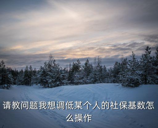 請教問題我想調(diào)低某個人的社?；鶖?shù)怎么操作