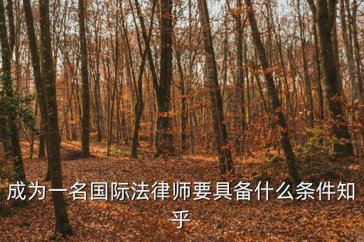 國際律師，成為一名國際法律師要具備什么條件知乎