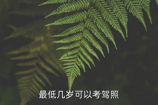 最低幾歲可以考駕照
