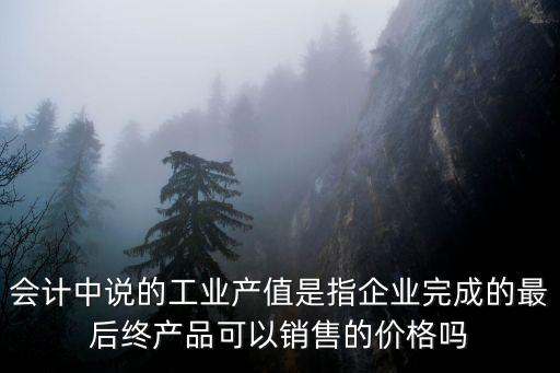 會(huì)計(jì)中說(shuō)的工業(yè)產(chǎn)值是指企業(yè)完成的最后終產(chǎn)品可以銷售的價(jià)格嗎