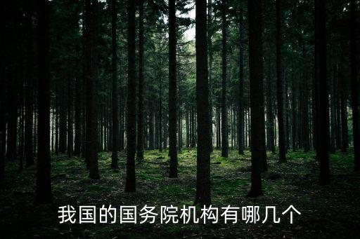 我國(guó)的國(guó)務(wù)院機(jī)構(gòu)有哪幾個(gè)
