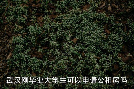 武漢剛畢業(yè)大學(xué)生可以申請公租房嗎